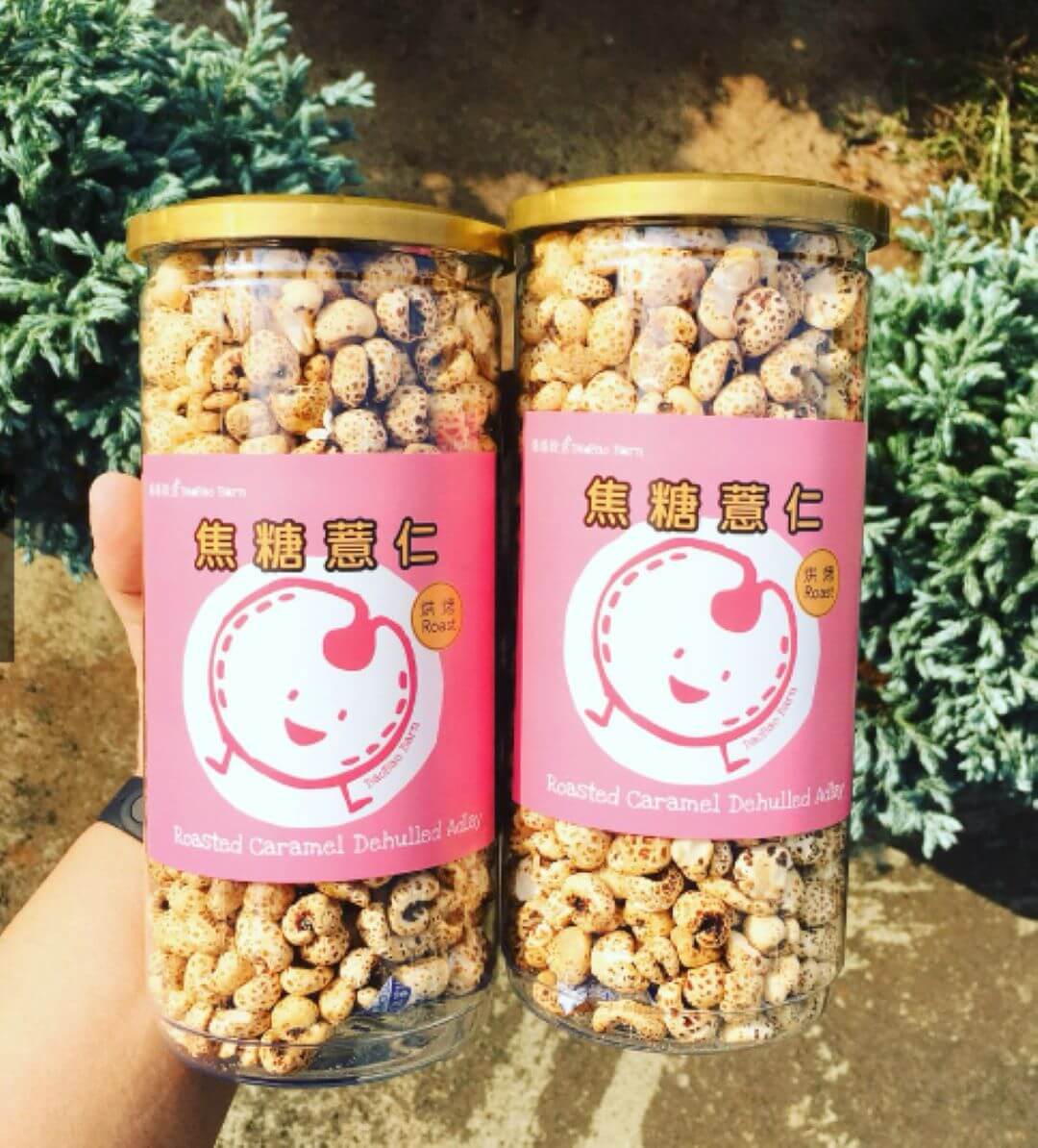 品益 - 焦糖薏仁